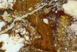 Polished Wild Horse Magnesite Slice - Arizona #114295-1